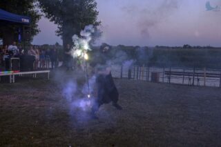 piknik rodzinny na plaży w Uhowie Sobótka 2021