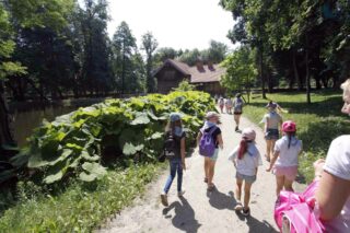 Akcja Lato z Domem Kultury 2021