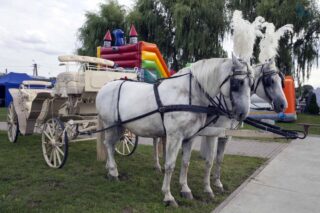 Zajazd Szlachecki. Łapy Szołajdy 2021