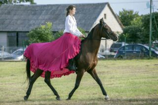 Zajazd Szlachecki. Łapy Szołajdy 2021