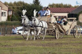 Zajazd Szlachecki. Łapy Szołajdy 2021