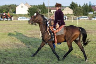 Zajazd Szlachecki. Łapy Szołajdy 2021