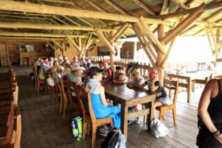 Akcja Lato z Domem Kultury w Łapach 2022