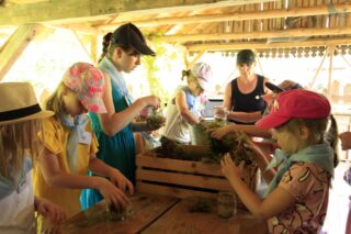 Akcja Lato z Domem Kultury w Łapach 2022