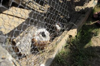 Akcja Lato z Domem Kultury w Łapach 2022