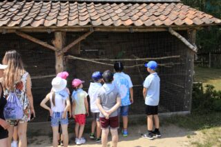 Akcja Lato z Domem Kultury w Łapach 2022