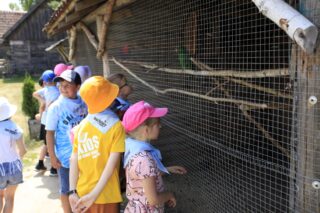 Akcja Lato z Domem Kultury w Łapach 2022