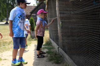 Akcja Lato z Domem Kultury w Łapach 2022