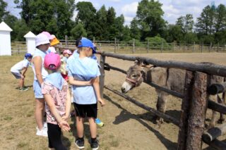 Akcja Lato z Domem Kultury w Łapach 2022