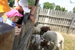 Akcja Lato z Domem Kultury w Łapach 2022