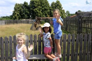 Akcja Lato z Domem Kultury w Łapach 2022