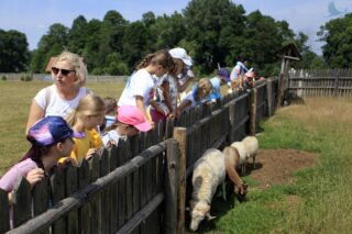 Akcja Lato z Domem Kultury w Łapach 2022