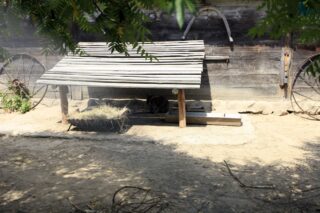 Akcja Lato z Domem Kultury w Łapach 2022