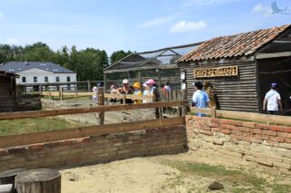 Akcja Lato z Domem Kultury w Łapach 2022