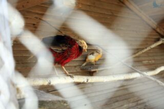 Akcja Lato z Domem Kultury w Łapach 2022