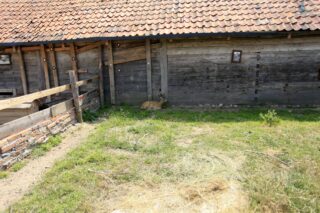 Akcja Lato z Domem Kultury w Łapach 2022