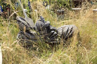 Akcja Lato z Domem Kultury w Łapach 2022