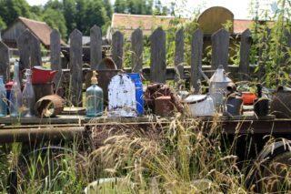 Akcja Lato z Domem Kultury w Łapach 2022