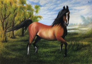 Obrazy Teresy Sakowicz