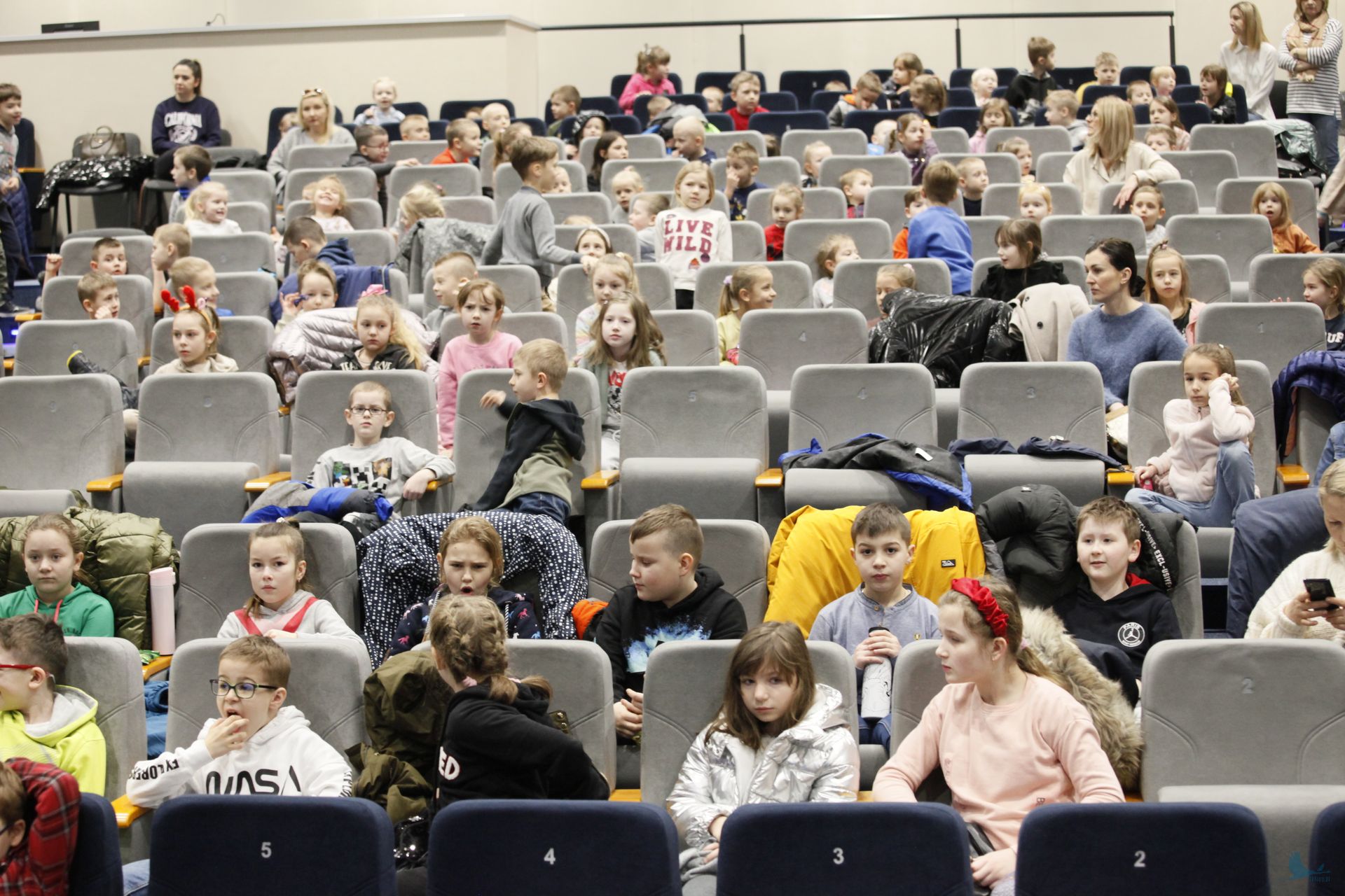 24. Łapski Tydzień Teatru. Katarynka