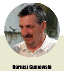d-gumowski1
