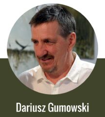 Dariusz Gumowski. malarstwo