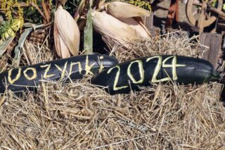 Dożynki diecezjalno gminne 2024. Płonka Kościelna