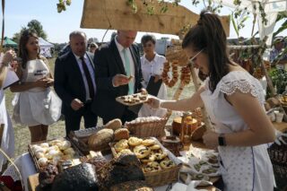 Dożynki diecezjalno gminne 2024. Płonka Kościelna