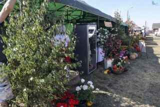 Dożynki diecezjalno gminne 2024. Płonka Kościelna