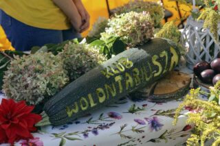 Dożynki diecezjalno gminne 2024. Płonka Kościelna