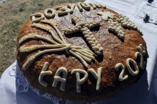 Dożynki diecezjalno gminne 2024. Płonka Kościelna