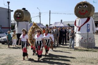 Dożynki diecezjalno gminne 2024. Płonka Kościelna