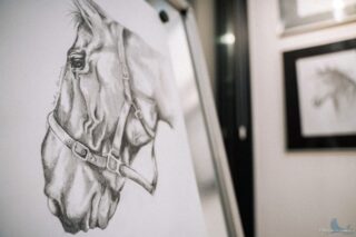 Trzy Kolory. Rysunek 2025