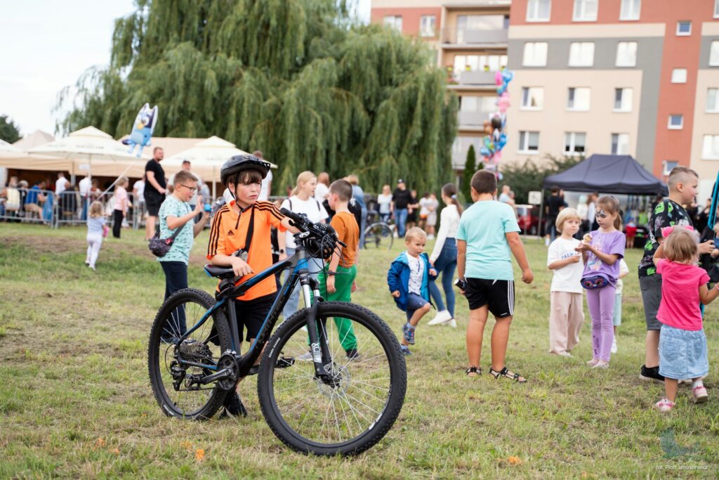 Losowe zdjęcie z galerii