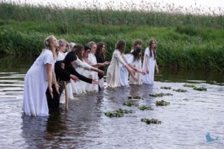 Obraz w serwisie dkLapy.PL dk. 56. Sobotka nad Narwia 2025