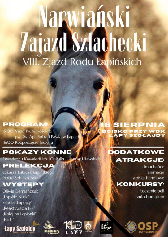 Obraz w serwisie dkLapy.PL 8. Zjazd Rodu Łapińskich