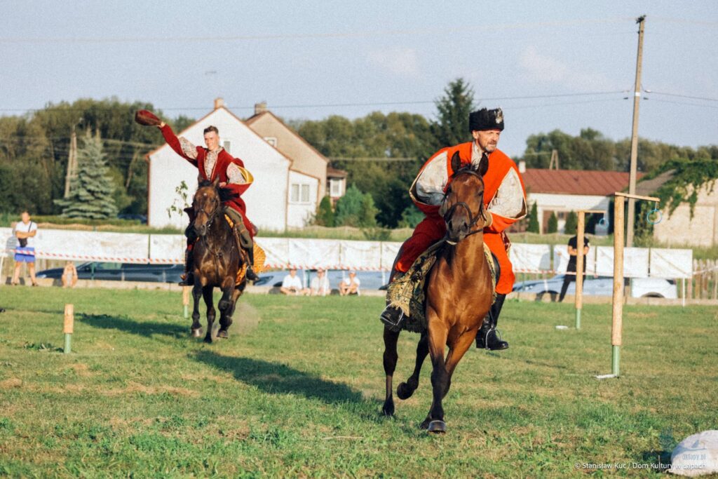 Losowe zdjęcie z galerii