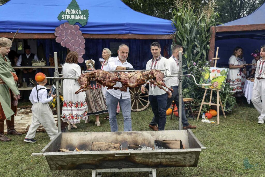 Losowe zdjęcie z galerii