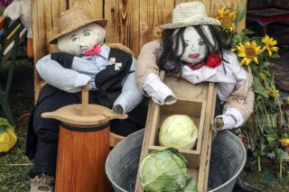 Dożynki z Produktem Lokalnym gminy Łapy 2025 dkLapy.PL