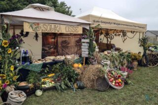 Dożynki z Produktem Lokalnym gminy Łapy 2025 dkLapy.PL