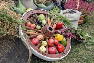 Dożynki z Produktem Lokalnym gminy Łapy 2025 dkLapy.PL