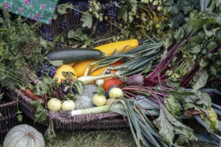 Dożynki z Produktem Lokalnym gminy Łapy 2025 dkLapy.PL