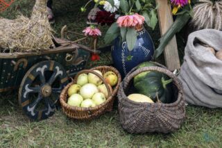 Dożynki z Produktem Lokalnym gminy Łapy 2025 dkLapy.PL