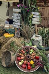 Dożynki z Produktem Lokalnym gminy Łapy 2025 dkLapy.PL