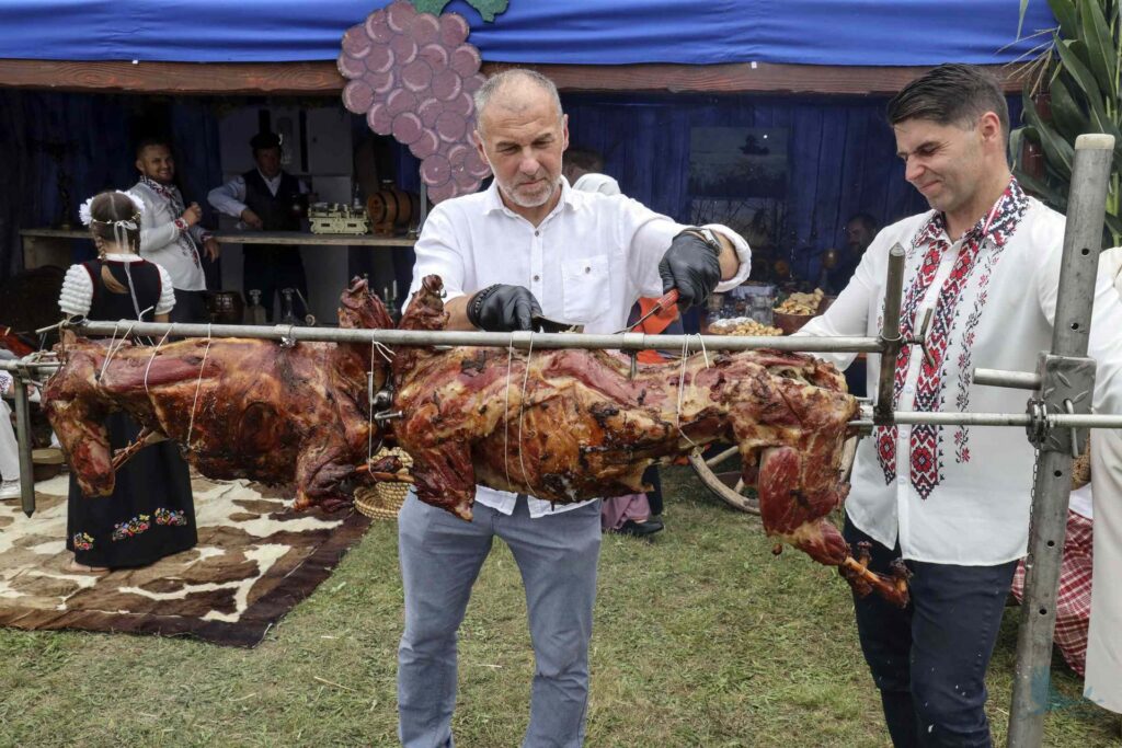 Losowe zdjęcie z galerii