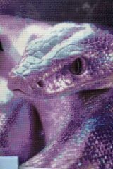 Dożynki z Produktem Lokalnym gminy Łapy 2025 dkLapy.PL