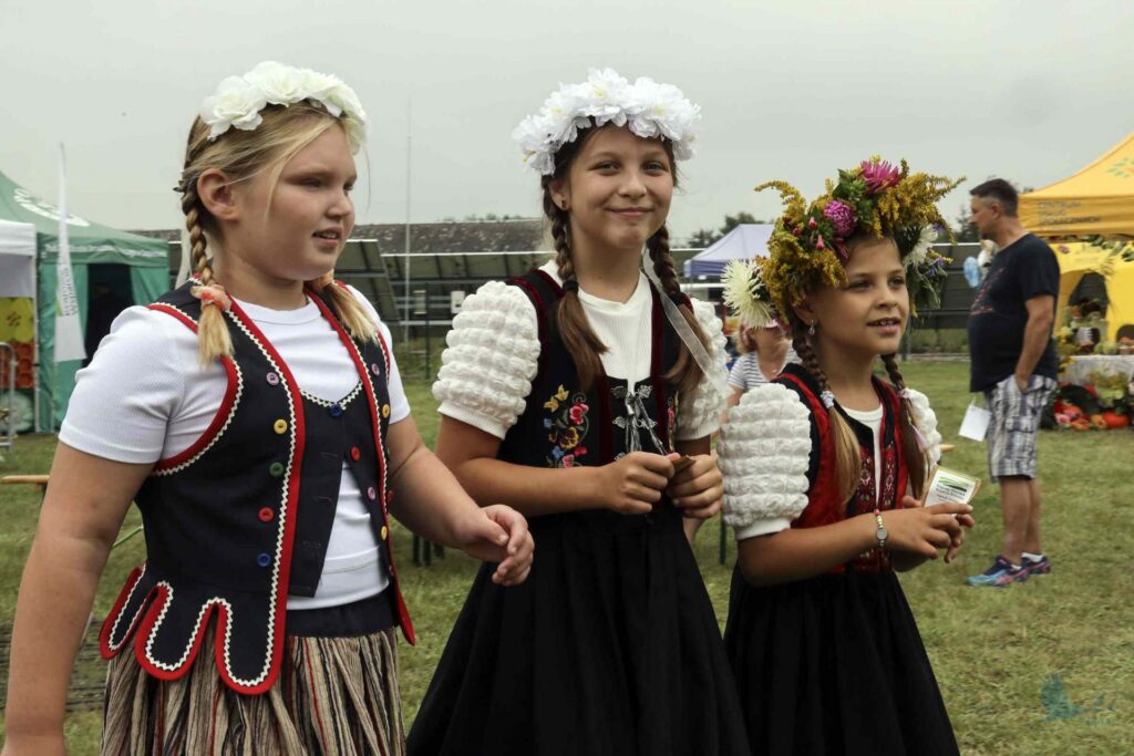 Losowe zdjęcie z galerii