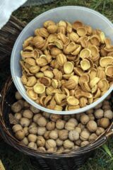 Dożynki z Produktem Lokalnym gminy Łapy 2025 dkLapy.PL