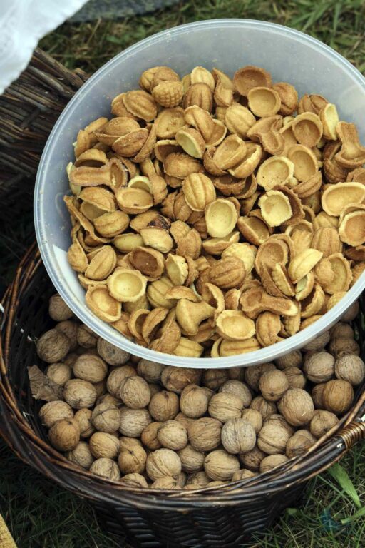 Losowe zdjęcie z galerii