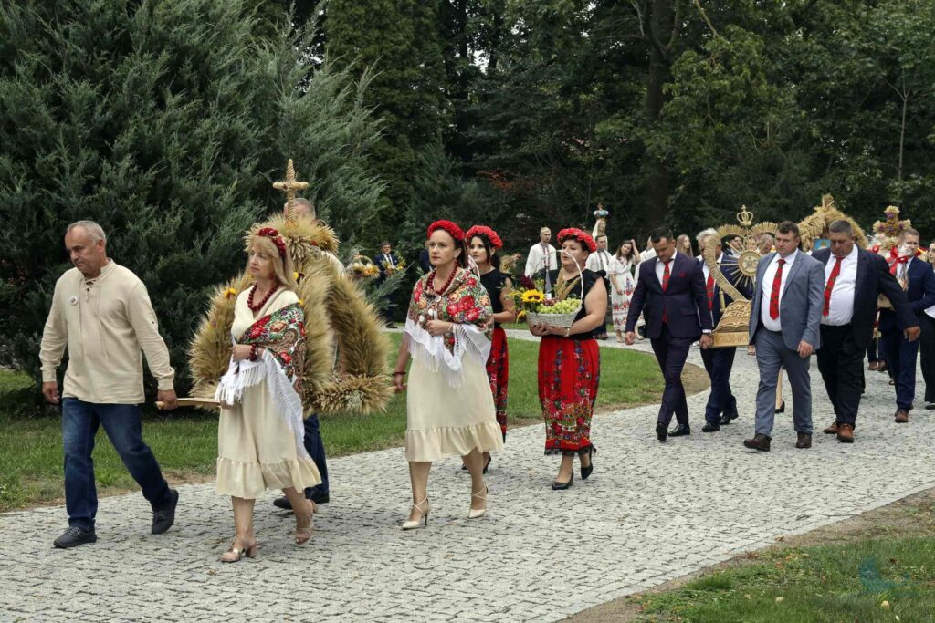 Losowe zdjęcie z galerii